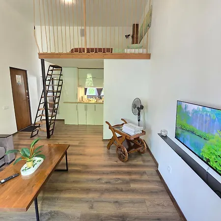 Z6 Loft Apartamento *