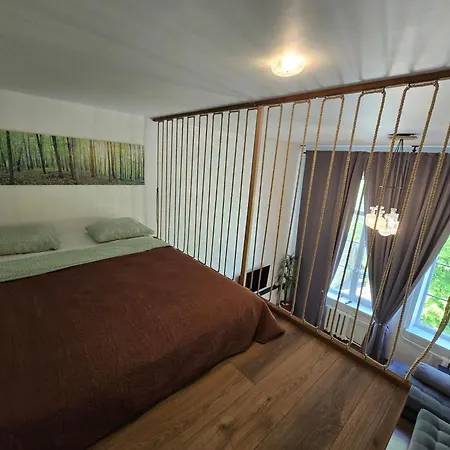 Apartment Z6 Loft