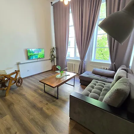 Apartment Z6 Loft *